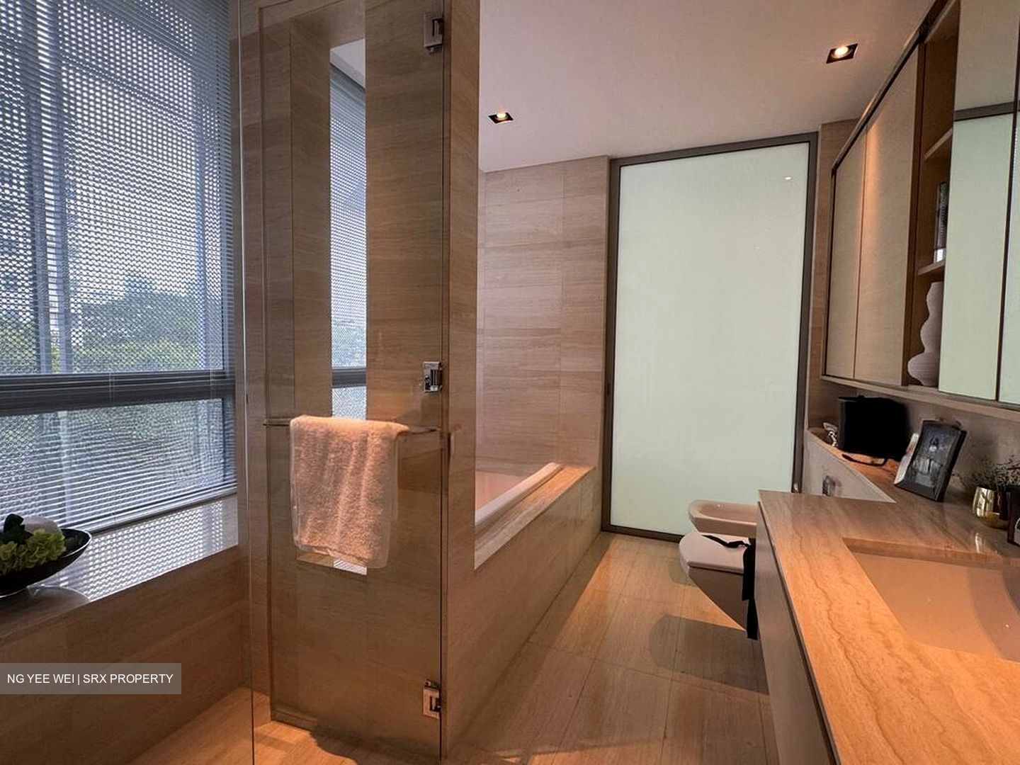 Balmoral Road (D10), Condominium #554607331